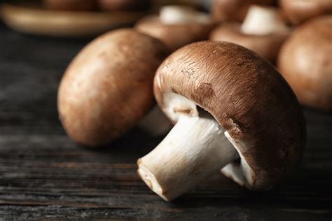 The With Hat Mushroom: A Hidden Gem in the World of Wild Edibles